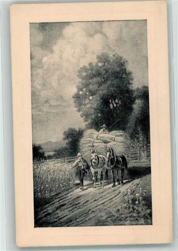 Ährenernte Landwirtschaft