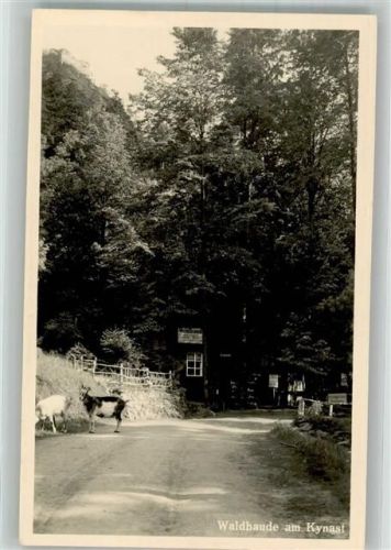 Kynast Gasthaus Waldbaude Ziege
