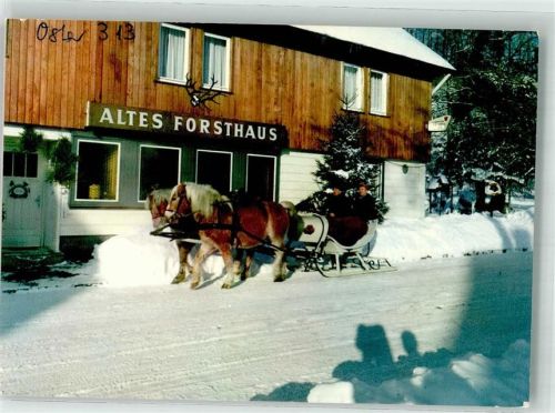 Osterode Hotel Altes Forsthaus Pferdeschlitten Winter