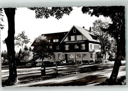 Zwieselberg Gasthaus Auerhahn VW Käfer Mercedes