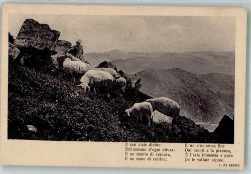 1913 Schafe Gedicht E. de Amicis