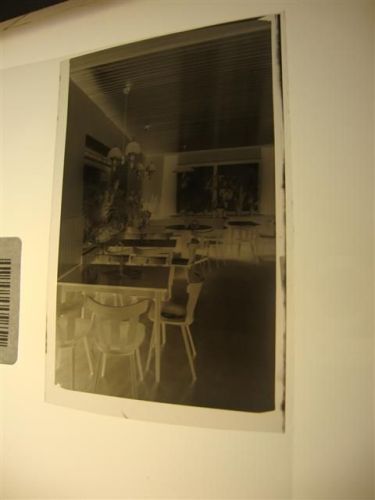 Alvesse Negativ