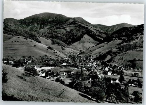 79244 W7816 Münstertal , Schwarzwald - Blick zum Belchen