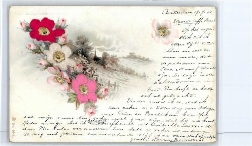 Blumen Nr 6648