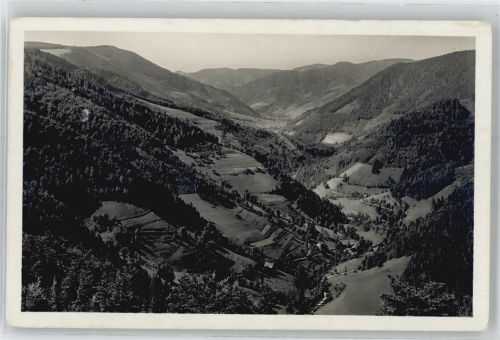 79263 W7809 Obersimonswald - Wildgutachtal