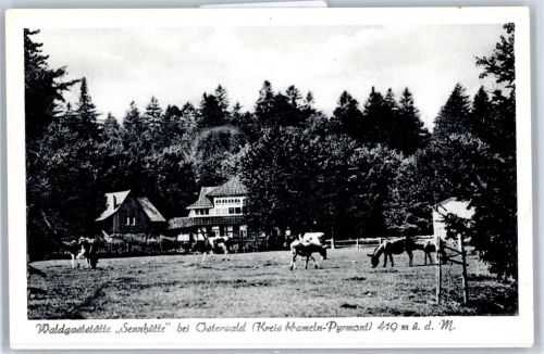 31020 W3216 Osterwald b Elze, Leine - Waldgaststätte Sennhütte