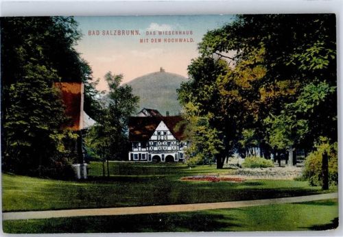 Bad Salzbrunn Wiesenhaus mit dem Hochwald