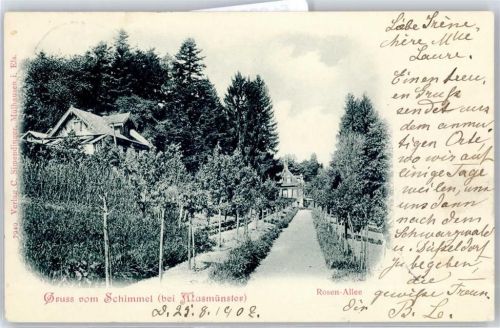 68290 Masevaux Masmünster 1902 - Rosen Allee