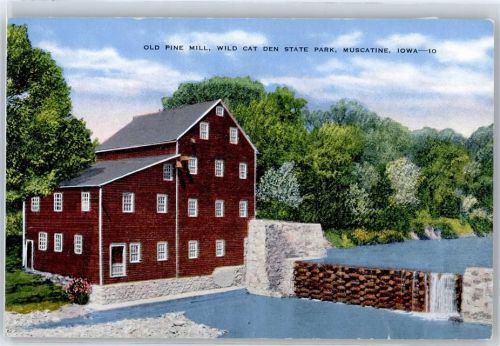 Old pine mill