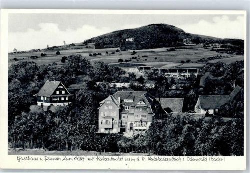 Waldkatzenbach Gasthaus Pension zum Adler
