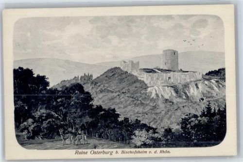 97653 W8743 Bischofsheim - Ruine Osterburg