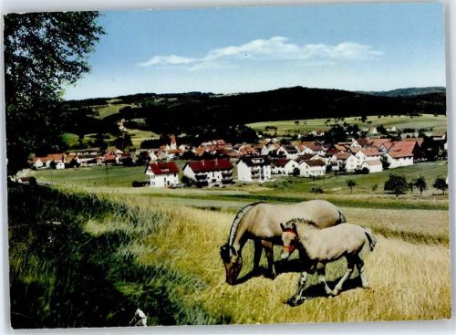 Affolterbach Pferdeweide AKU1