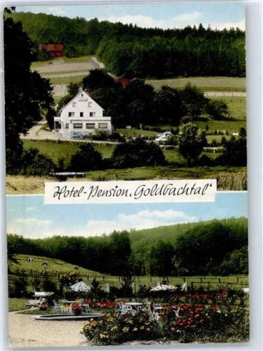 31855 W3258 Flakenholz - Hotel Pension Goldbachtal