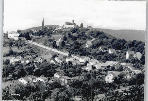 Dilsberg Blick auf Dilsberg