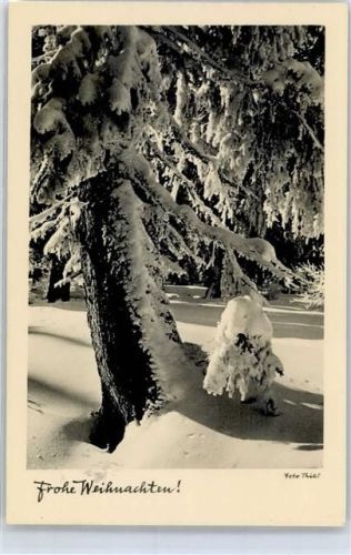 Nürnberg Wald im Schnee