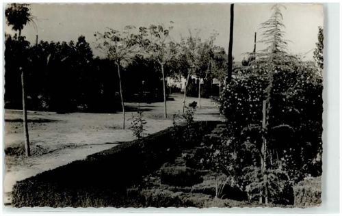 Valencia - Stadtpark von Algemesi