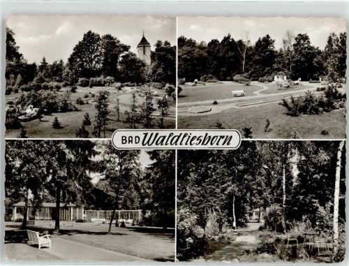59555 W4780 Bad Waldliesborn - Kurpark