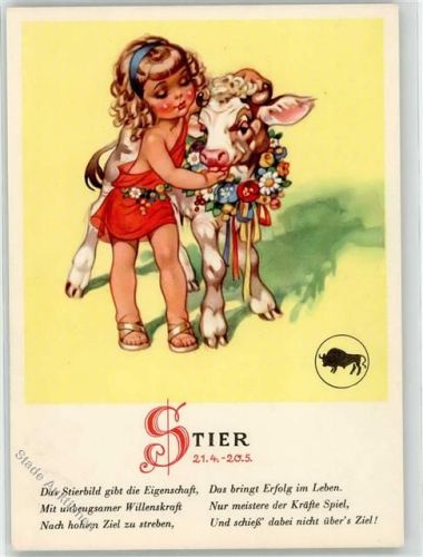 Stier Kind