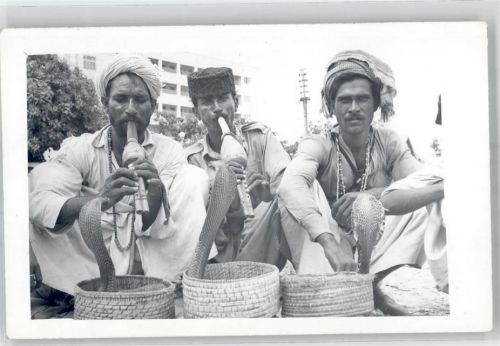 Karatschi Foto AK Snake Charmer