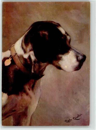 Hund Halsband Chiostri, C. & S.