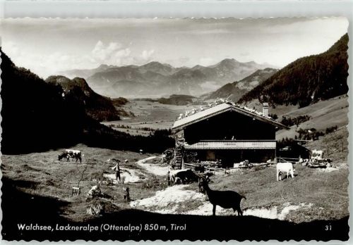 Walchsee Lackneralpe