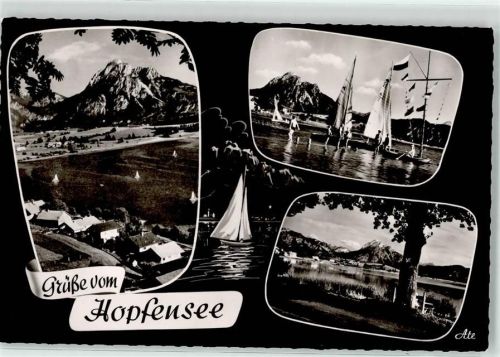 Hopfen Hopfensee