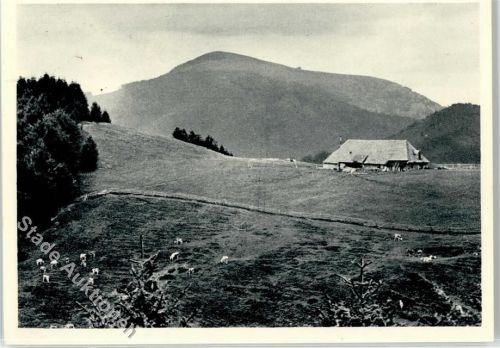 Münstertal Kälbelescheuer mit Belchen