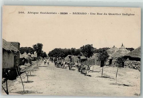 Bamako Une Rue du Quartier Infigene