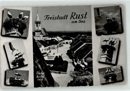 Rust Neusiedlersee Storchennest Fischer Kirche Rathaus Keller