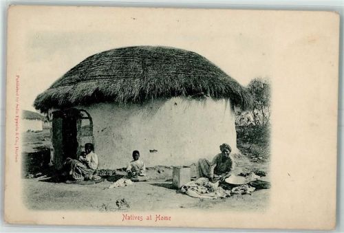 Natives at Home