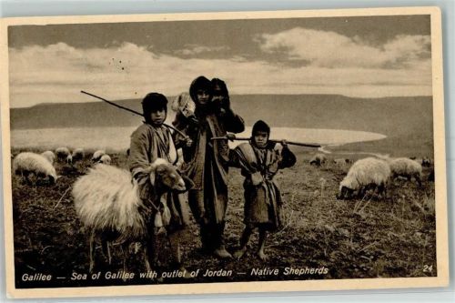 Sea of Galiläa with outletof Jordan Native Shepherds Schafe
