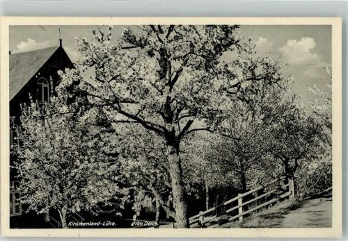 Lühe 1937 Am Deich