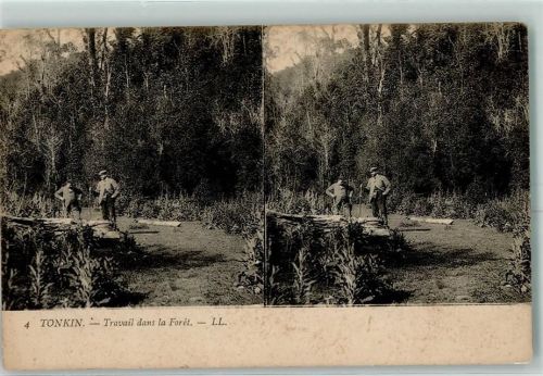 Hanoi Travail dans la Foret Tinkin
