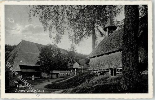 78148 W7741 Gütenbach - Schwarzwaldhaus Gänse