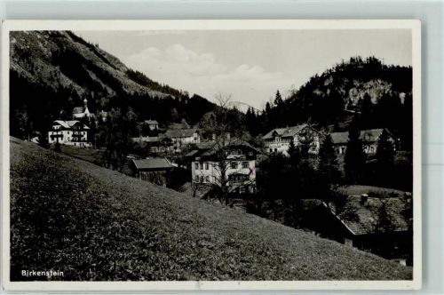 Birkenstein