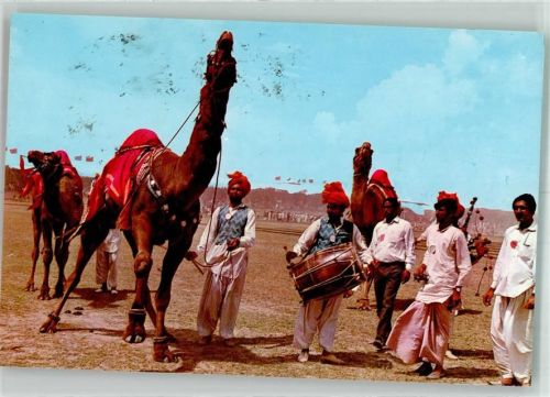 Lahore 1986 Tracht Kamele