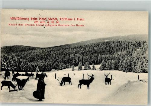 Torfhaus 1912 Winter Wildfütterung Bahnpost Braunschweig-Hazrburg Zug 499