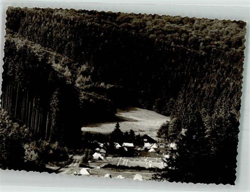 Scharzfeld Das Waldschwimmbad mit Campingplatz im Bremketal