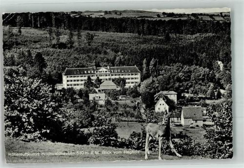 Hochwaldhausen Pension Waldcafe