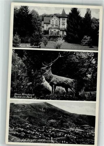 Alsbach Haus Hirschpark Panorama des Ortes mit Melibokus Verlag Wilhelm Gerling Nr. 5094