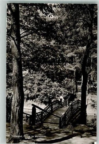 Troisdorf Brücke im Waldpark Fotograf Wagenhut