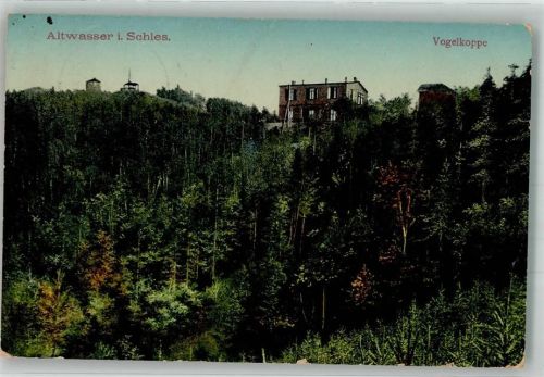 Altwasser 1911 Vogelkoppe