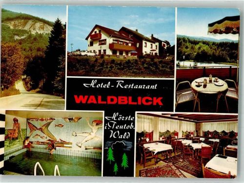 Hörste Hotel Waldblick Schwimmbad