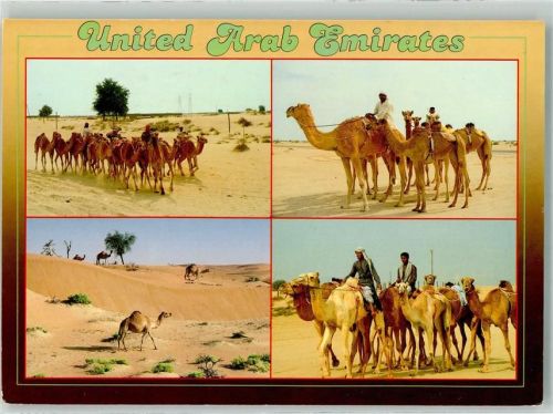 Dubai 1990 Tracht Kamele