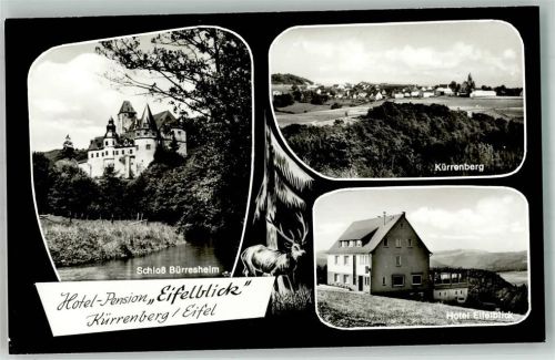Kürrenberg Hotel Eifelblick Schloss Bürresheim