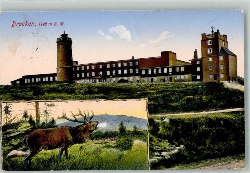 Brocken 1930 Röhrender Hirsch vor Brockenhotel und Brockenturm