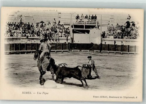 Nimes Torero zu Pferde in der Arena