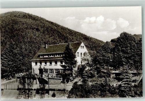 Willingen Hotel Willinger Hof