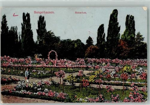 Sangerhausen 1916 Rosarium Feldpost WK I