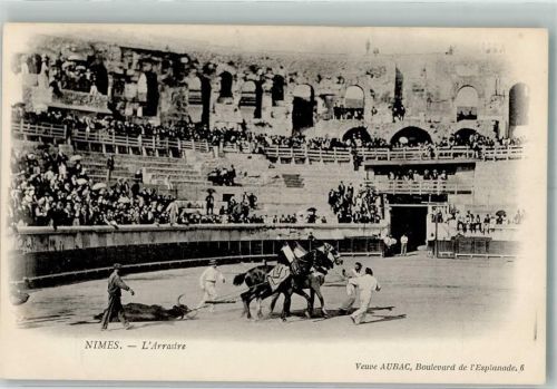 Nimes Abtransport des getöten Stiers aus der Arena